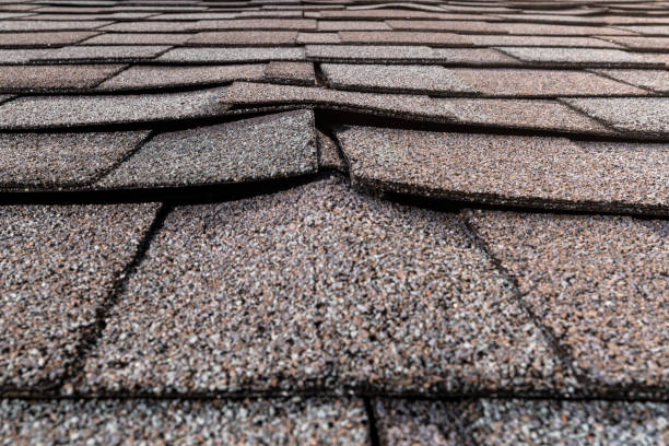 Essential Questions to Ask Before Replacing Your Roof