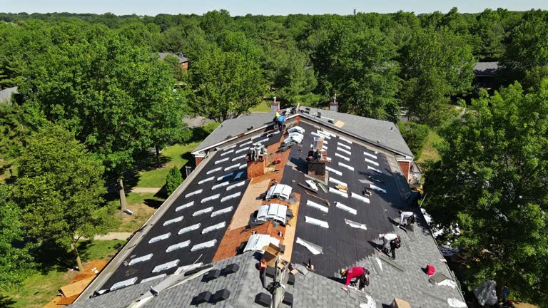 Need Roof Repairs Near You Here's How to Choose the Best Contractors